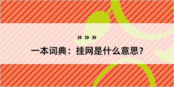 一本词典：挂网是什么意思？