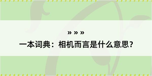 一本词典：相机而言是什么意思？