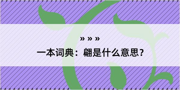 一本词典：翩是什么意思？