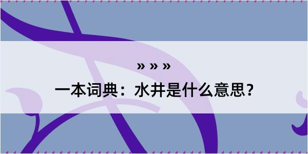 一本词典：水井是什么意思？