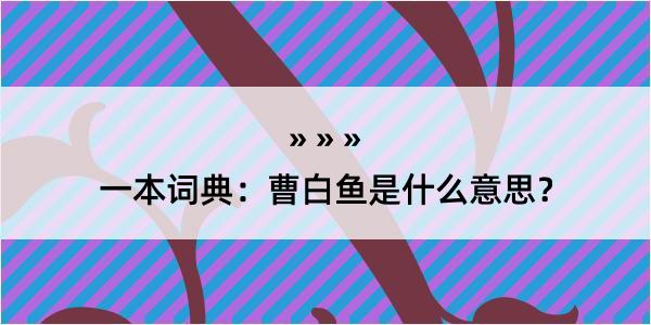 一本词典：曹白鱼是什么意思？