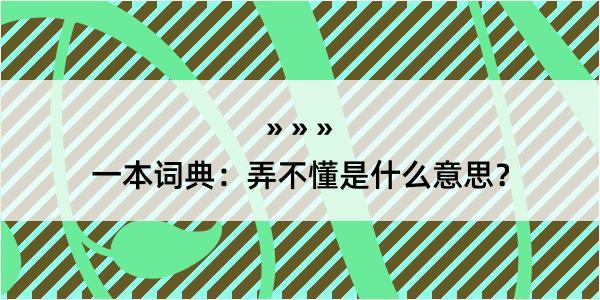 一本词典：弄不懂是什么意思？