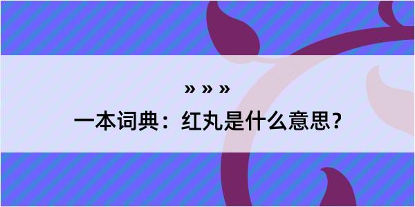 一本词典：红丸是什么意思？