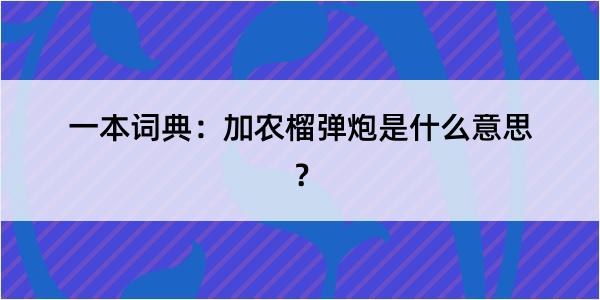 一本词典：加农榴弹炮是什么意思？