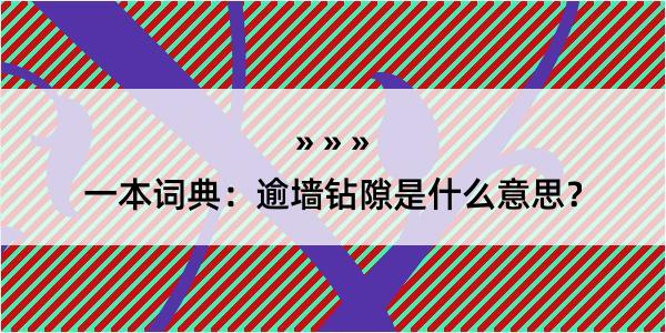 一本词典：逾墙钻隙是什么意思？