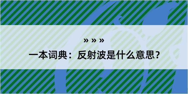 一本词典：反射波是什么意思？