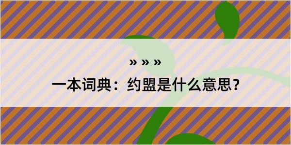 一本词典：约盟是什么意思？