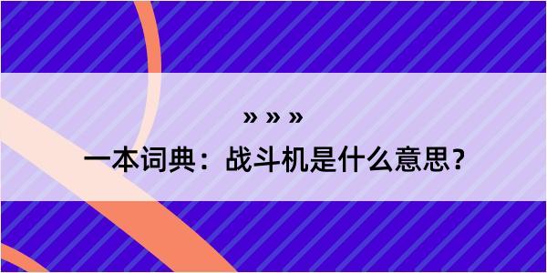 一本词典：战斗机是什么意思？