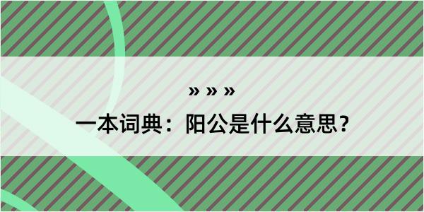 一本词典：阳公是什么意思？