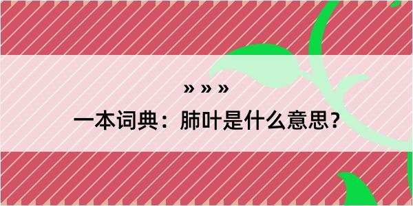 一本词典：肺叶是什么意思？