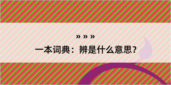 一本词典：辨是什么意思？