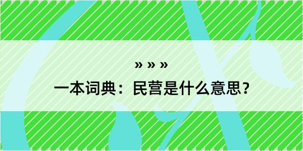 一本词典：民营是什么意思？