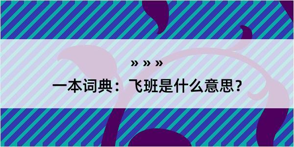 一本词典：飞班是什么意思？