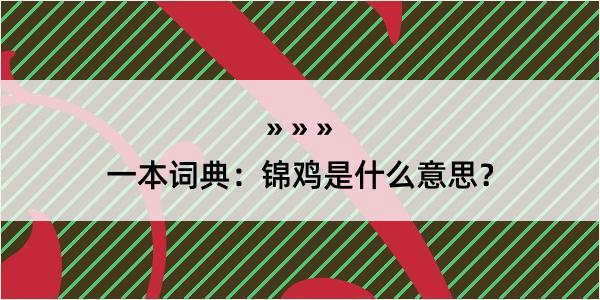 一本词典：锦鸡是什么意思？