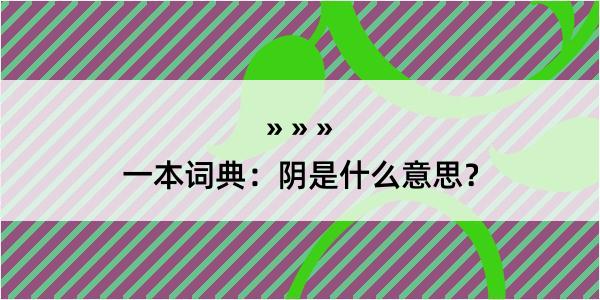 一本词典：阴是什么意思？