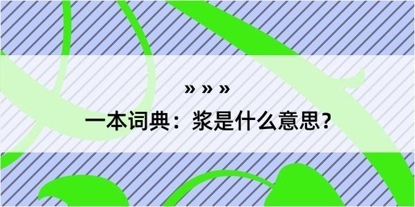 一本词典：浆是什么意思？