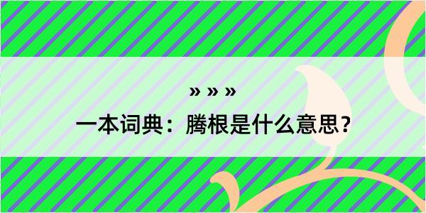 一本词典：腾根是什么意思？