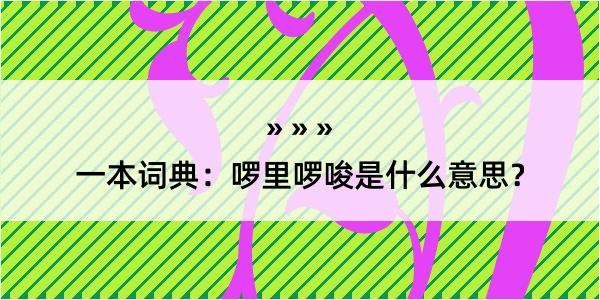 一本词典：啰里啰唆是什么意思？