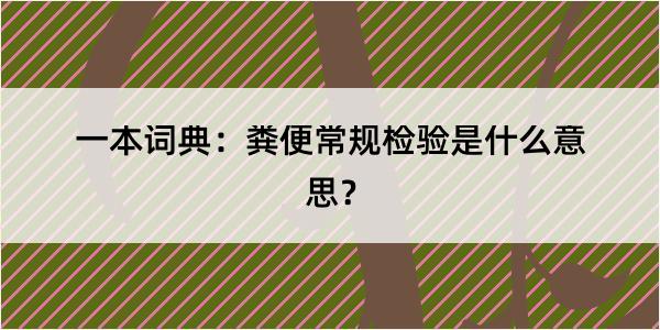 一本词典：粪便常规检验是什么意思？