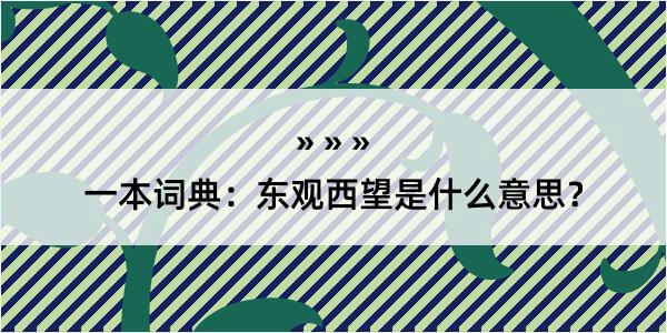 一本词典：东观西望是什么意思？