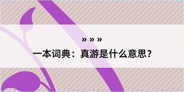 一本词典：真游是什么意思？