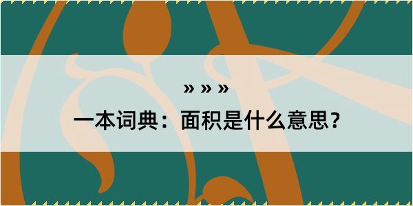 一本词典：面积是什么意思？