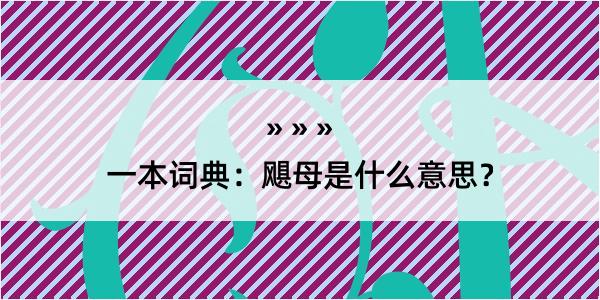 一本词典：飓母是什么意思？