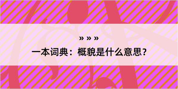 一本词典：概貌是什么意思？