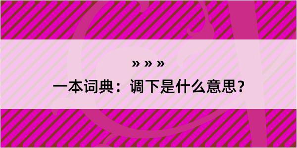 一本词典：调下是什么意思？