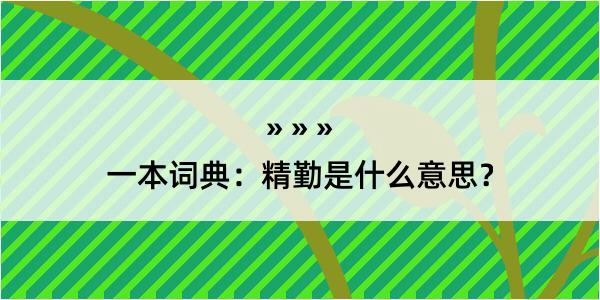 一本词典：精勤是什么意思？