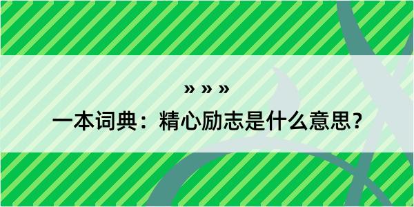 一本词典：精心励志是什么意思？