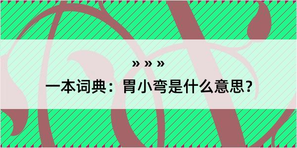 一本词典：胃小弯是什么意思？