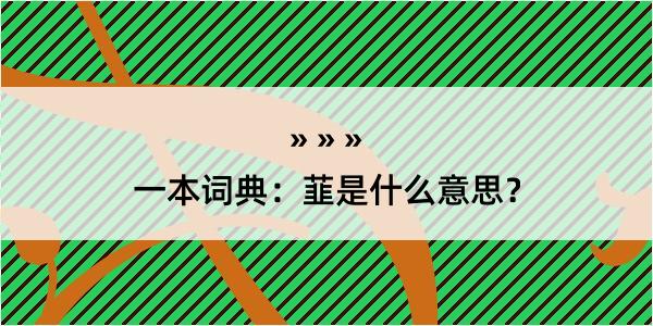 一本词典：韮是什么意思？