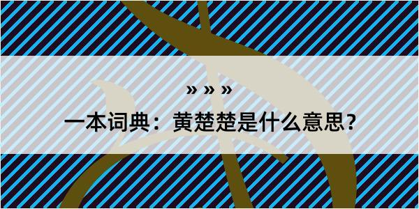 一本词典：黄楚楚是什么意思？