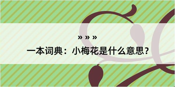 一本词典：小梅花是什么意思？