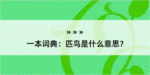 一本词典：匹鸟是什么意思？