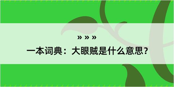 一本词典：大眼贼是什么意思？