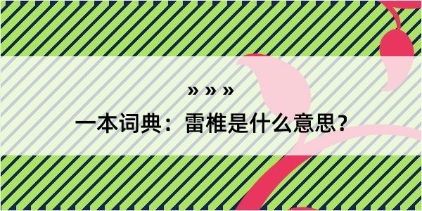 一本词典：雷椎是什么意思？