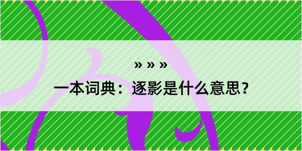 一本词典：逐影是什么意思？