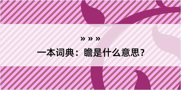 一本词典：瞻是什么意思？