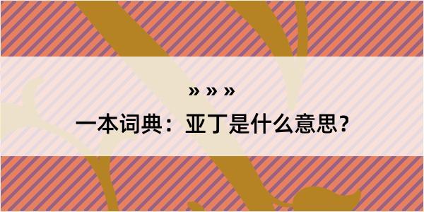 一本词典：亚丁是什么意思？