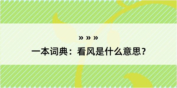 一本词典：看风是什么意思？