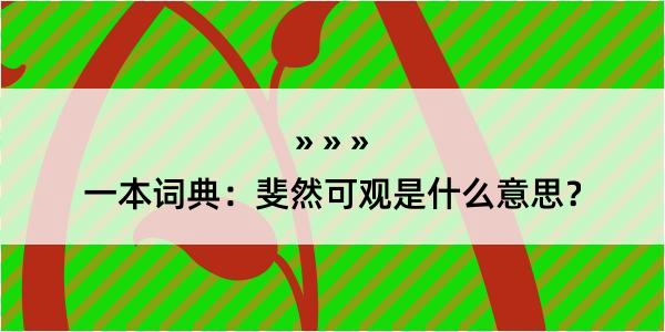 一本词典：斐然可观是什么意思？