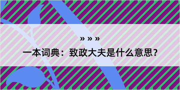 一本词典：致政大夫是什么意思？