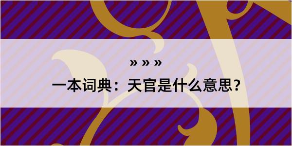 一本词典：天官是什么意思？