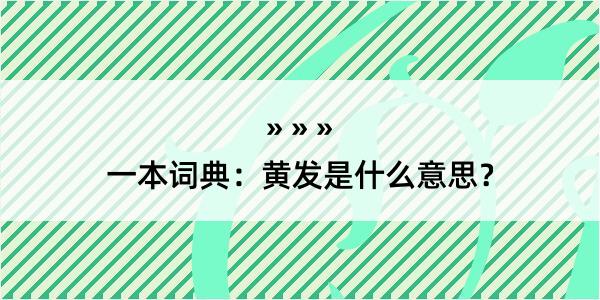 一本词典：黄发是什么意思？