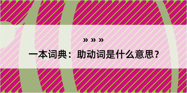 一本词典：助动词是什么意思？