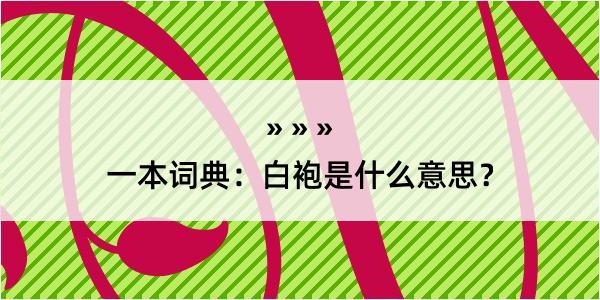 一本词典：白袍是什么意思？