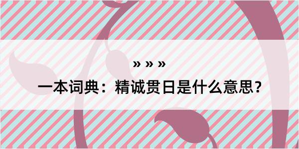 一本词典：精诚贯日是什么意思？