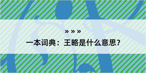 一本词典：王略是什么意思？